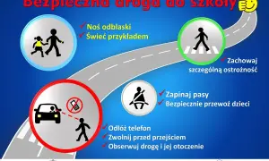 Kto wprowadził pasy bezpieczeństwa i jak zmieniły bezpieczeństwo na drogach?