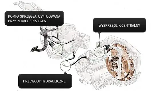 Zdjęcie Wysprzęglik czy pompa sprzęgła – kluczowe różnice, które musisz znać